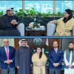 IT Minister Meets PTCL, Etisalat CEOs to Discuss Telecom Development