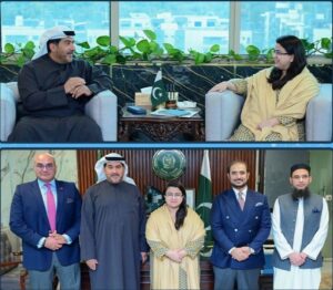 IT Minister Meets PTCL, Etisalat CEOs to Discuss Telecom Development