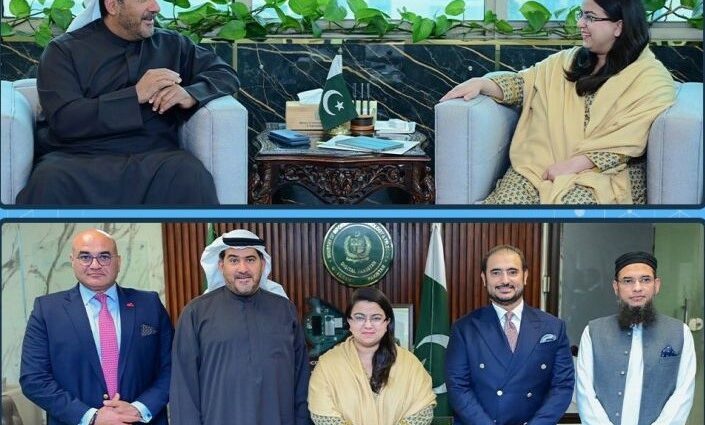 IT Minister Meets PTCL, Etisalat CEOs to Discuss Telecom Development