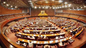 National assembly raises concerns over online fraud, misuse of digital platforms