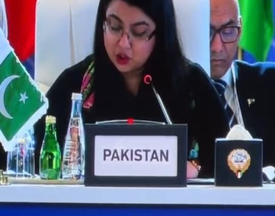 Pakistan Highlights Inclusive Digital Growth at Digital Cooperation Organization Assembly