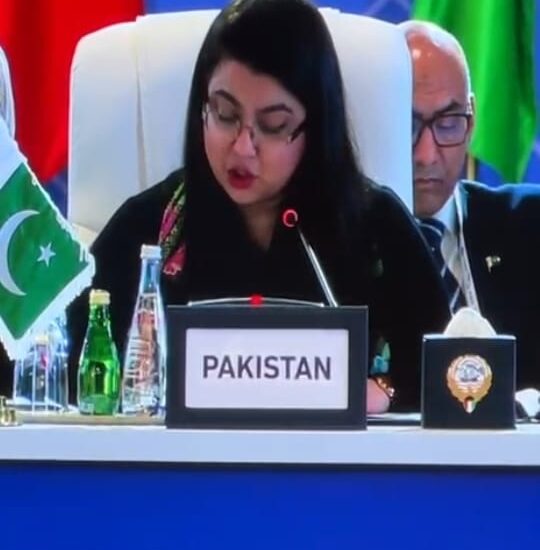 Pakistan Highlights Inclusive Digital Growth at Digital Cooperation Organization Assembly