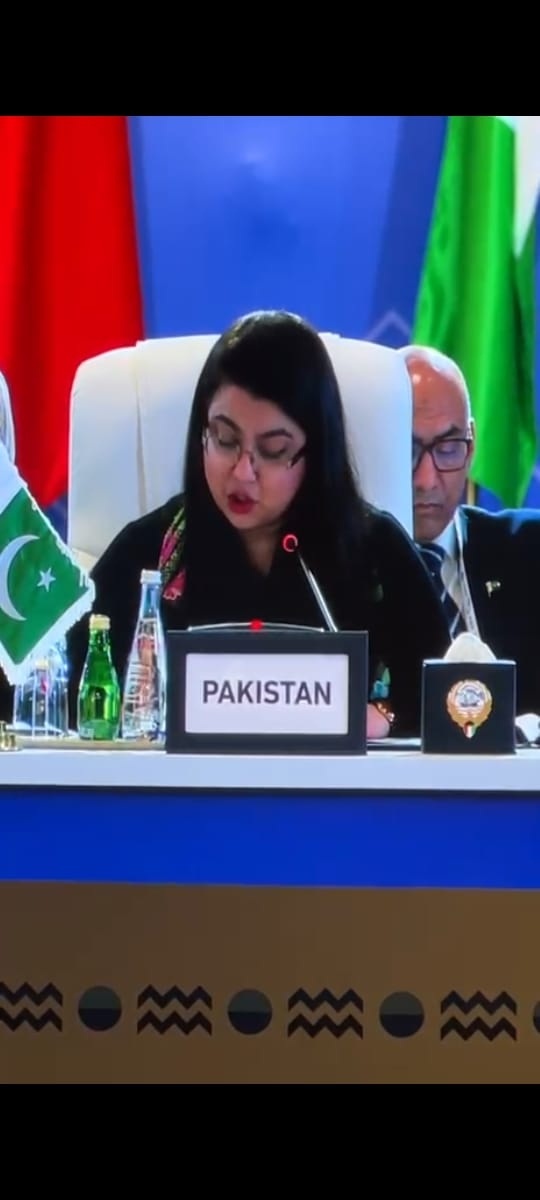 Pakistan Highlights Inclusive Digital Growth at Digital Cooperation Organization Assembly