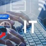 National Assembly Committee Criticizes IT Ministry Over IT Export Claims