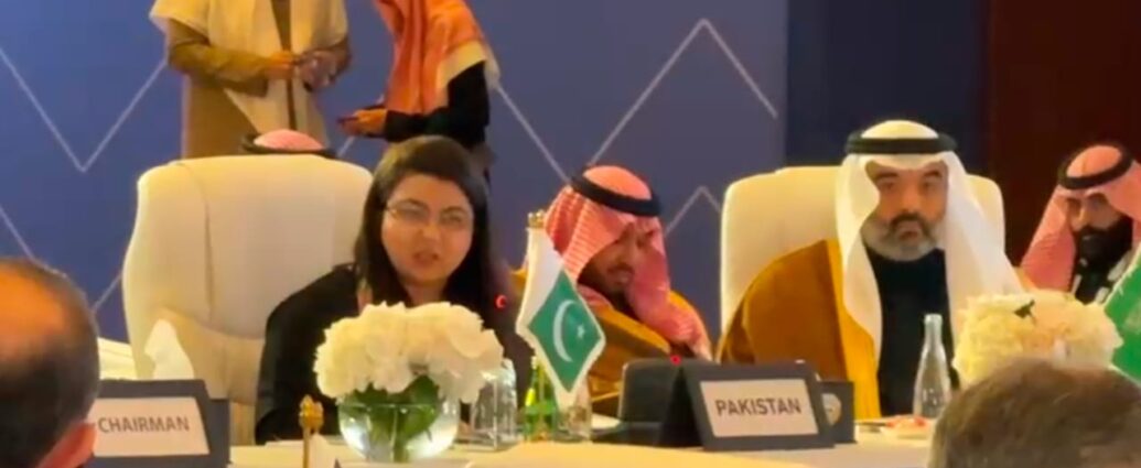 Pakistan assumes presidency of Digital Cooperation Organization at Kuwait assembly