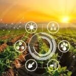 Punjab Moves to Modern Farming with Tech-Based Agriculture Plan