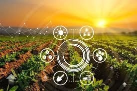 Punjab Moves to Modern Farming with Tech-Based Agriculture Plan