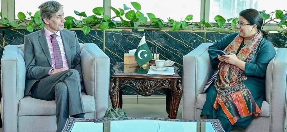 Pakistan, Microsoft Explore AI, Cloud Collaboration to Boost Digital Transformation