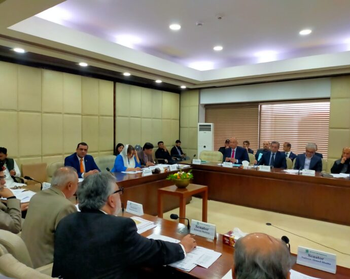 Senate IT Committee Raises Alarm Over Slow Internet in Chitral, Proposes Sub-Committee