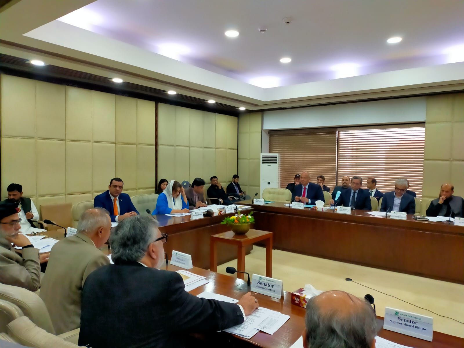 Senate IT Committee Raises Alarm Over Slow Internet in Chitral, Proposes Sub-Committee