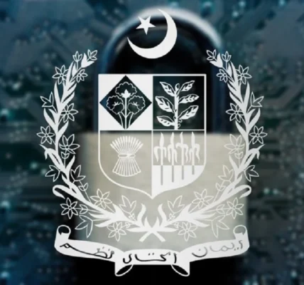 Pakistan Blocked 202 Hostile Digital Assets During India Tensions, Economic Survey Reveals