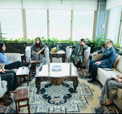 Pakistan, Meta Launch AI Academy to Help 1,000 Small Businesses Go Digital