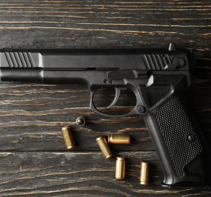 Punjab Orders Arms Dealers to Digitise Records by August 26